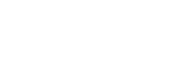 NV Casino Software